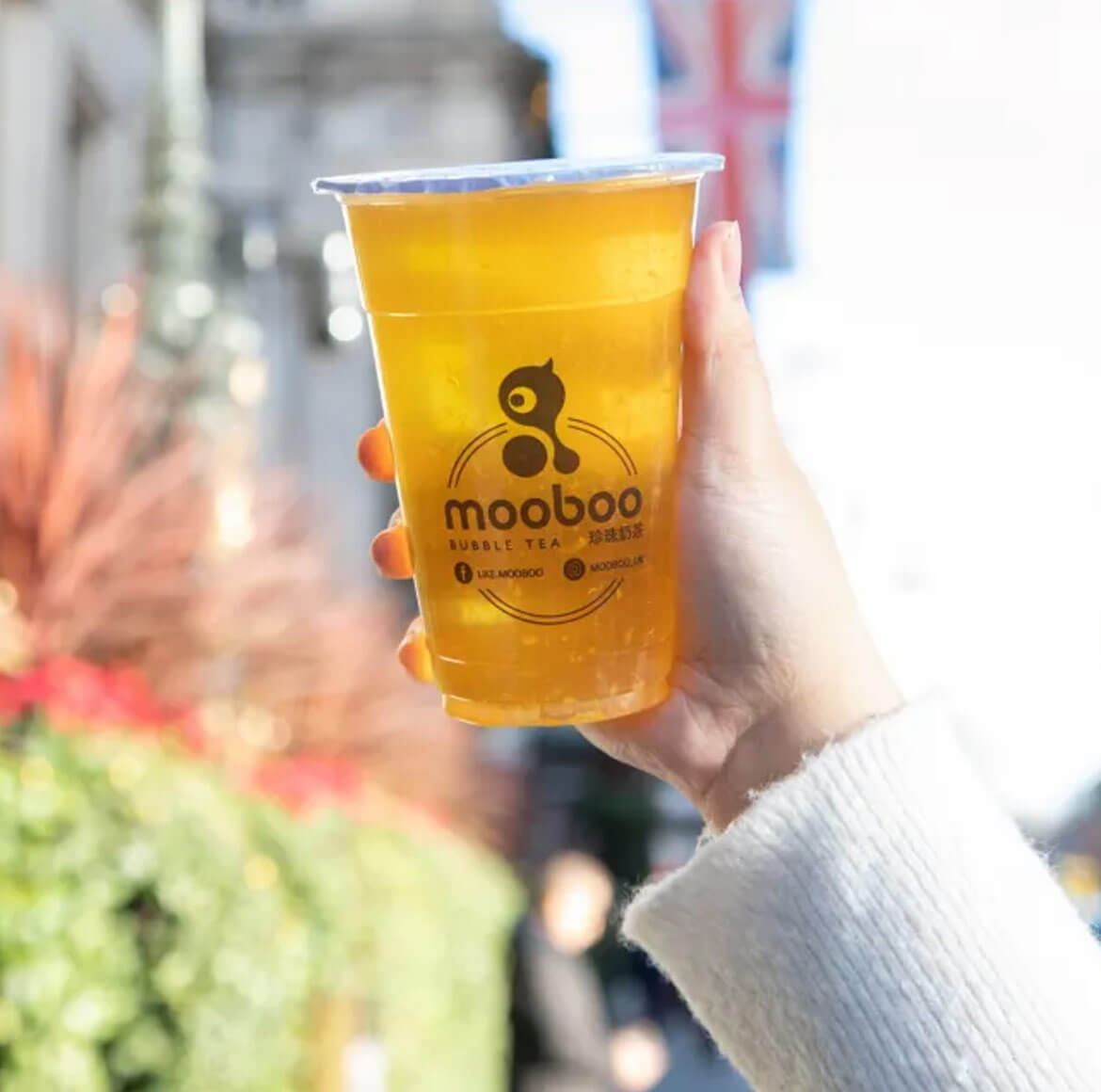 Mooboo